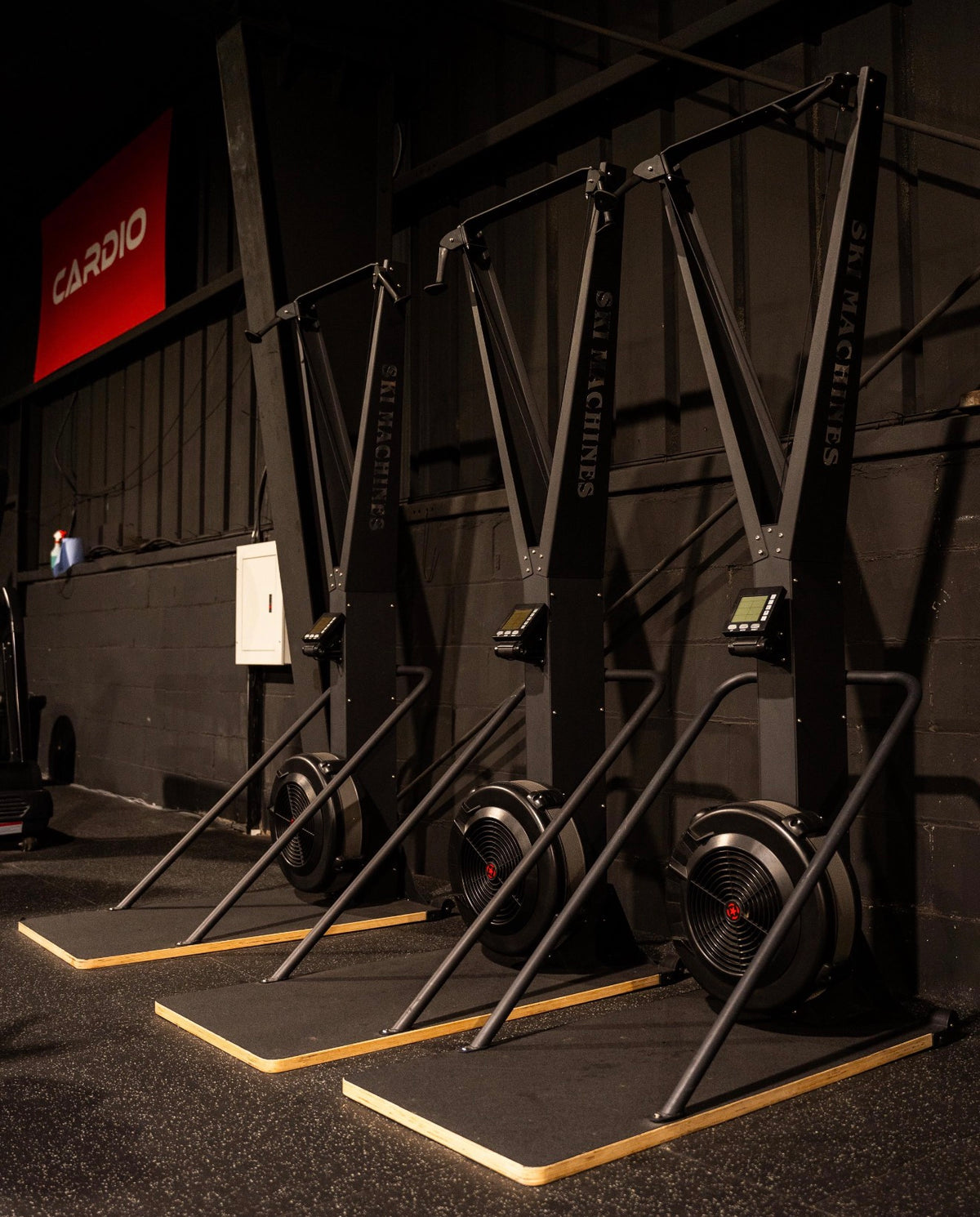 Ski erg