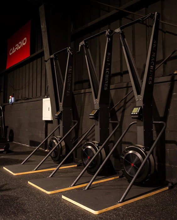 Ski erg